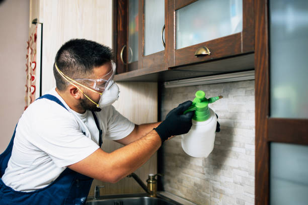 Trusted Dassel, MN Pest Control Experts